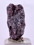 1.5cms PROUSTITE RUBY SILVER Crystals Uchucchacua Mine Peru Mineral Specimen H346
