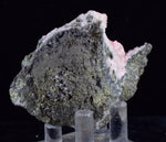 5.9cms RHODOCHROSITE ROSETTE PYRITE Peru Crystals Collector Mineral Specimen R701