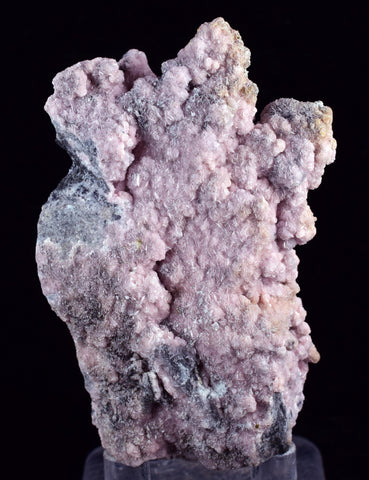 6.3cms RHODOCHROSITE ROSETTE QUARTZ Peru Crystals Collector Mineral Specimen R724