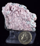 5.6cms RHODOCHROSITE ROSETTE QUARTZ Peru Crystals Collector Mineral Specimen R726