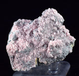 5cms RHODOCHROSITE ROSETTE QUARTZ Peru Crystals Collector Mineral Specimen R733