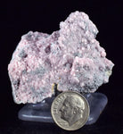 5cms RHODOCHROSITE ROSETTE QUARTZ Peru Crystals Collector Mineral Specimen R733