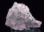 5cms RHODOCHROSITE ROSETTE QUARTZ Peru Crystals Collector Mineral Specimen R738