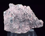 5cms RHODOCHROSITE ROSETTE QUARTZ Peru Crystals Collector Mineral Specimen R738