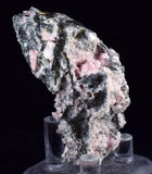 6cms RHODOCHROSITE ROSETTE QUARTZ Peru Crystals Collector Mineral Specimen R740