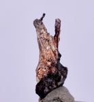 0.9cms NATIVE SILVER WIRES Peru Uchuchaccua Mine 2000 Discovery Mineral Specimen H353