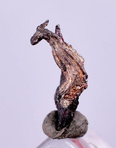 0.9cms NATIVE SILVER WIRES Peru Uchuchaccua Mine 2000 Discovery Mineral Specimen H353
