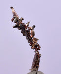 1.2cms NATIVE SILVER WIRES  Peru Mineral Specimen H355