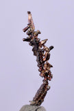1.2cms NATIVE SILVER WIRES  Peru Mineral Specimen H355