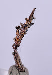 1.2cms NATIVE SILVER WIRES  Peru Mineral Specimen H355