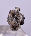 0.7cms NATIVE SILVER WIRES Peru Uchuchaccua Mine 2000 Discovery Mineral Specimen H357