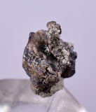 0.7cms NATIVE SILVER WIRES Peru Uchuchaccua Mine 2000 Discovery Mineral Specimen H357
