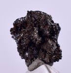 0.8cms NATIVE SILVER WIRES Peru Uchuchaccua Mine 2000 Discovery Mineral Specimen H358