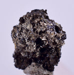 0.8cms NATIVE SILVER WIRES Peru Uchuchaccua Mine 2000 Discovery Mineral Specimen H358