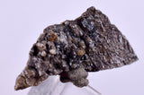 2.2cms NATIVE SILVER WIRES Peru Uchuchaccua Mine 2000 Discovery Mineral Specimen H359