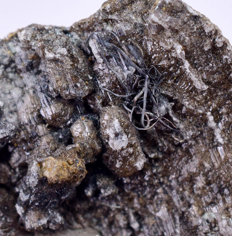 2.2cms NATIVE SILVER WIRES Peru Uchuchaccua Mine 2000 Discovery Mineral Specimen H359