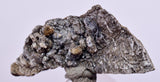 2.2cms NATIVE SILVER WIRES Peru Uchuchaccua Mine 2000 Discovery Mineral Specimen H359
