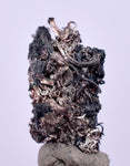 0.7cms NATIVE SILVER WIRES Peru Uchuchaccua Mine 2000 Discovery Mineral Specimen H361