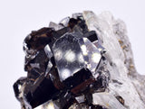 7.8cms CASSITERITE BRILLIANT CRYSTALS Facet Grade Shiny Bolivia Mineral E123