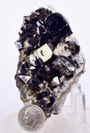 7.8cms CASSITERITE BRILLIANT CRYSTALS Facet Grade Shiny Bolivia Mineral E123