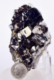 7.8cms CASSITERITE BRILLIANT CRYSTALS Facet Grade Shiny Bolivia Mineral E123