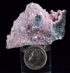 5.6cms RHODOCHROSITE ROSETTE QUARTZ Peru Crystals Collector Mineral Specimen R716