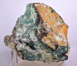 9.5cms GEM SILICA CHRYSOCOLLA Druzy Quartz Lily Mine Peru Mineral Specimen D277