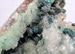 8cms GEM SILICA CHRYSOCOLLA Druzy Quartz Lily Mine Peru Mineral Specimen D279