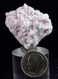 Lot 10 RHODOCHROSITE ROSETTE QUARTZ Peru Crystals Collector Mineral Specimen R722