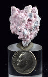 Lot 10 RHODOCHROSITE ROSETTE QUARTZ Peru Crystals Collector Mineral Specimen R723