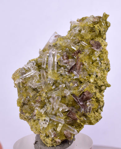 4.5cms AXINITE QUARTZ CRYSTALS Cluster Prehnite Peru Mineral Specimen Collectors A591