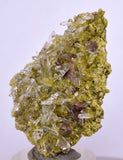 4.5cms AXINITE QUARTZ CRYSTALS Cluster Prehnite Peru Mineral Specimen Collectors A591