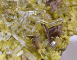 4.5cms AXINITE QUARTZ CRYSTALS Cluster Prehnite Peru Mineral Specimen Collectors A591