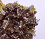 3.5cms AXINITE QUARTZ CRYSTALS Cluster Prehnite Peru Mineral Specimen Collectors A592