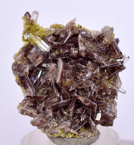 3.5cms AXINITE QUARTZ CRYSTALS Cluster Prehnite Peru Mineral Specimen Collectors A592