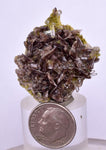 3.5cms AXINITE QUARTZ CRYSTALS Cluster Prehnite Peru Mineral Specimen Collectors A592