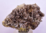 5.3cms AXINITE QUARTZ CRYSTALS Cluster Prehnite Peru Mineral Specimen Collectors A593