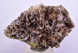 5.3cms AXINITE QUARTZ CRYSTALS Cluster Prehnite Peru Mineral Specimen Collectors A593
