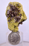 4.5cms AXINITE QUARTZ CRYSTALS Cluster Prehnite Peru Mineral Specimen Collectors A594