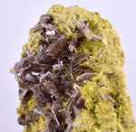 4.5cms AXINITE QUARTZ CRYSTALS Cluster Prehnite Peru Mineral Specimen Collectors A594