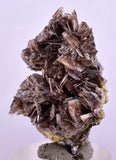 3.5cms AXINITE CRYSTALS Cluster Prehnite Peru Mineral Specimen Collectors A596