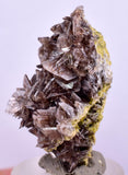 3.5cms AXINITE CRYSTALS Cluster Prehnite Peru Mineral Specimen Collectors A596