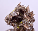 3.5cms AXINITE CRYSTALS Cluster Prehnite Peru Mineral Specimen Collectors A596