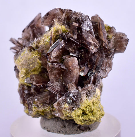 2.4cms AXINITE CRYSTALS Cluster Prehnite Peru Mineral Specimen Collectors A597