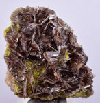 4cms AXINITE CRYSTALS Cluster Prehnite Peru Mineral Specimen Collectors A598