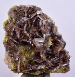 4cms AXINITE CRYSTALS Cluster Prehnite Peru Mineral Specimen Collectors A598
