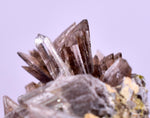 3cms AXINITE CRYSTALS Cluster Prehnite Peru Mineral Specimen Collectors A599