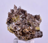 3cms AXINITE CRYSTALS Cluster Prehnite Peru Mineral Specimen Collectors A599