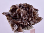 2.8cms AXINITE CRYSTALS Cluster Prehnite Peru Mineral Specimen Collectors A600