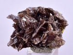 2.8cms AXINITE CRYSTALS Cluster Prehnite Peru Mineral Specimen Collectors A600